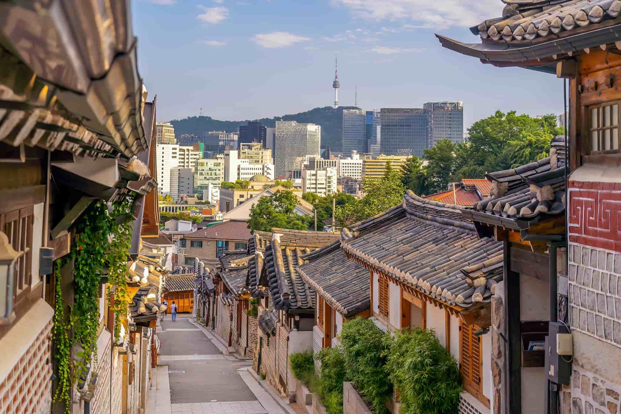 Seoul ✨🏙️🌸