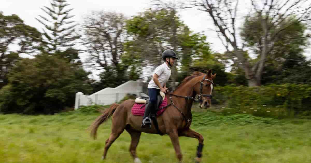 Horse Riding Camp a Eastbourne: equitazione, inglese e il mare del Sud dell'Inghilterra