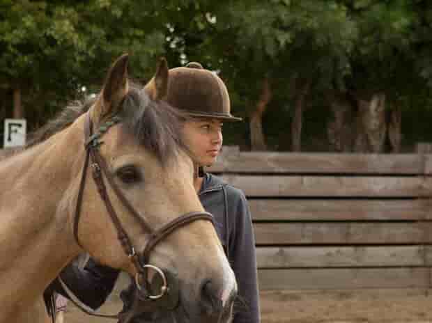 Eastbourne Horse Riding Camp
