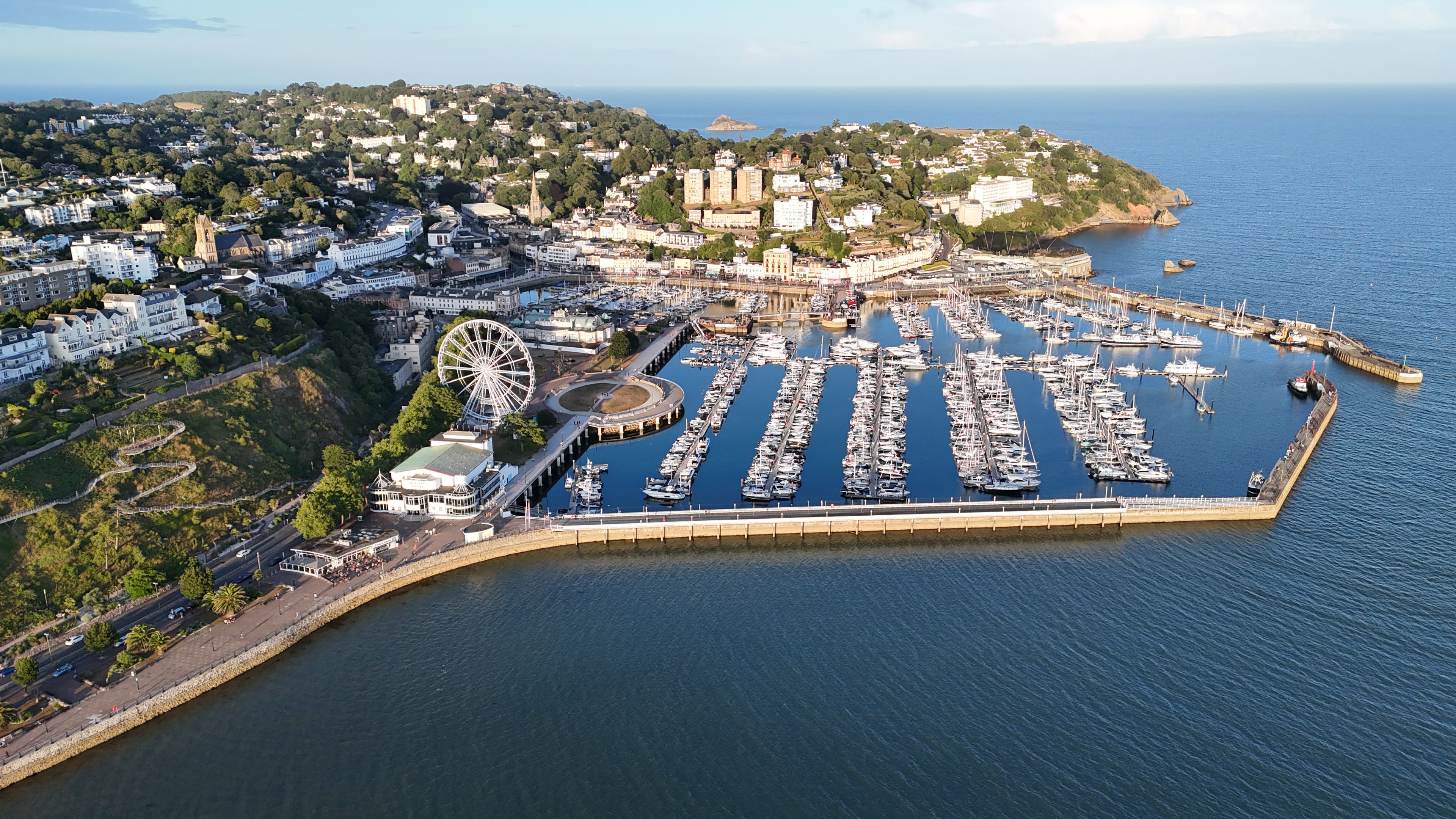Torquay (Gastfamilie)