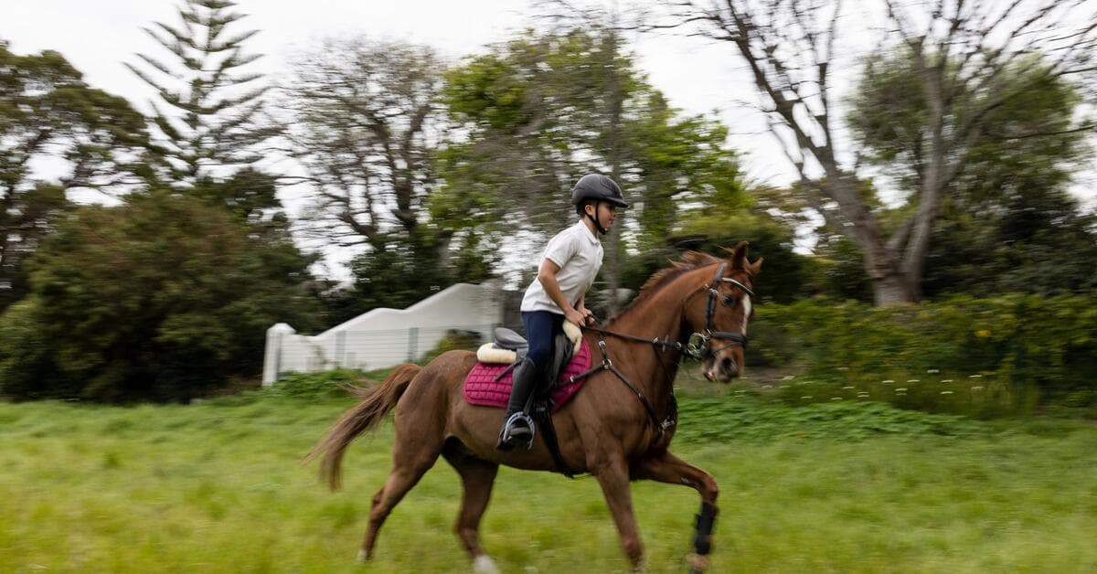 Horse Riding Camp a Eastbourne: equitazione, inglese e il mare del Sud dell'Inghilterra