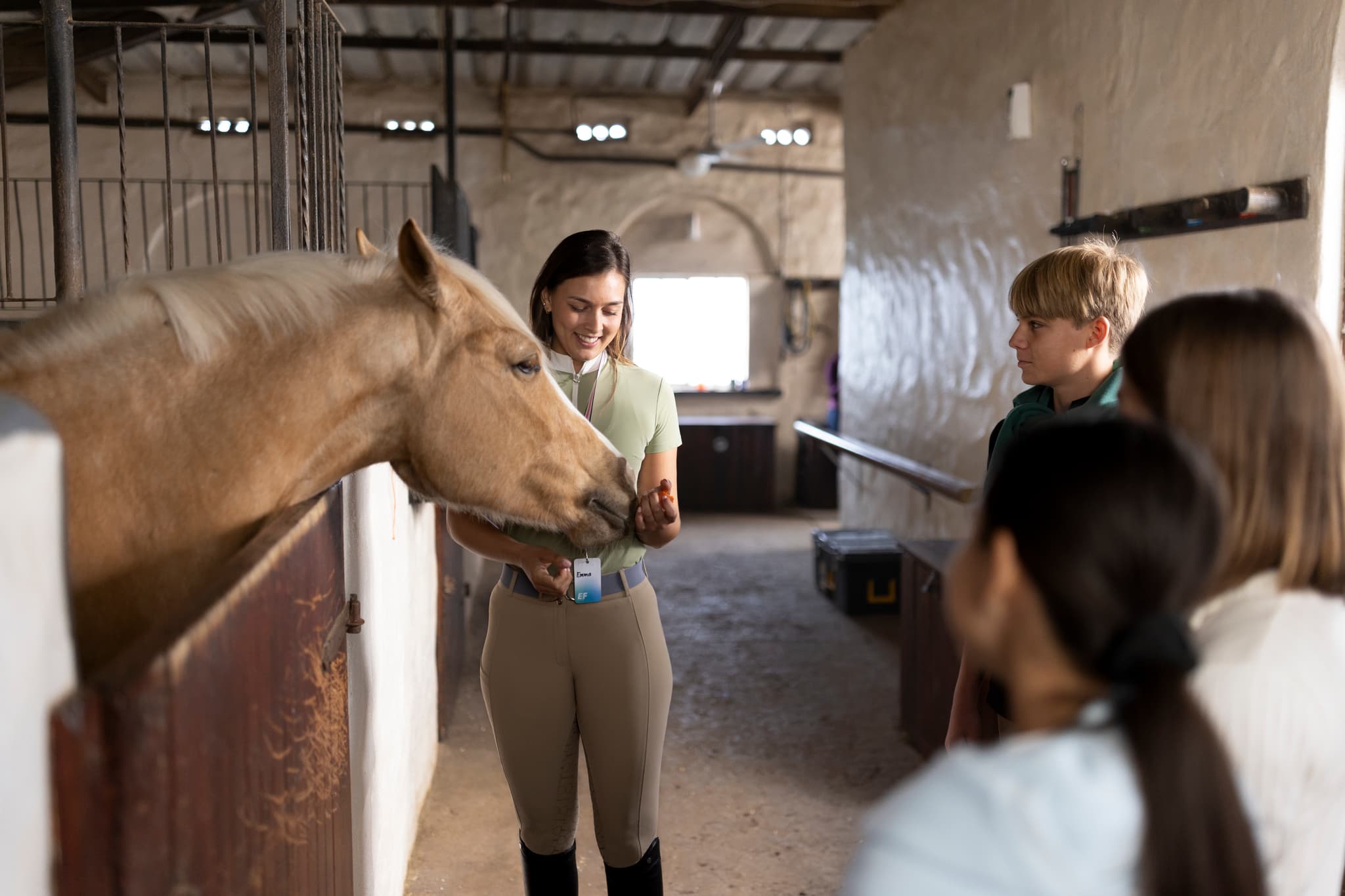 Eastbourne Horse Riding Camp 🏇
